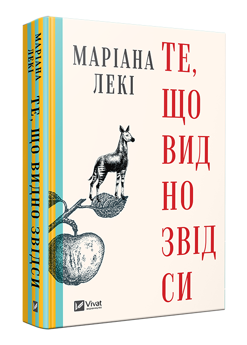 Те, що видно звідси (Художня література) 2705 - обкладинка 3д