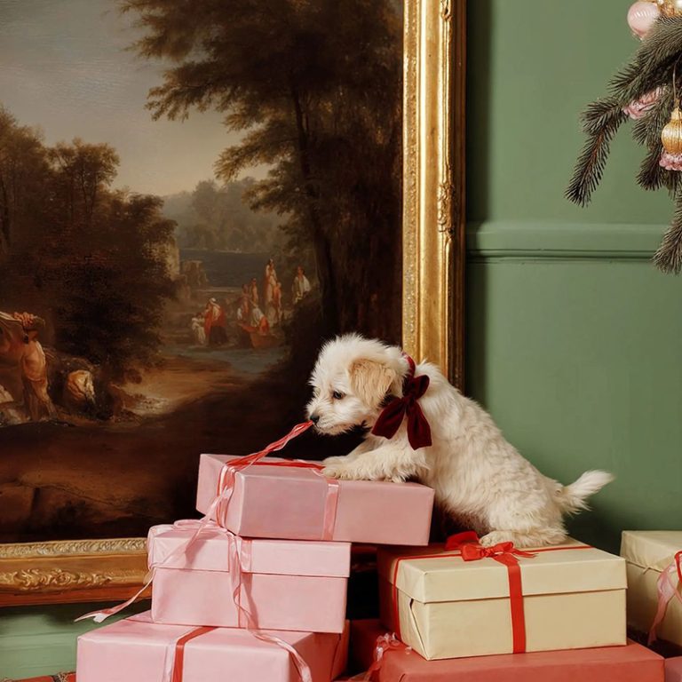 2ae1527b347c58651250a4fe142cb885111