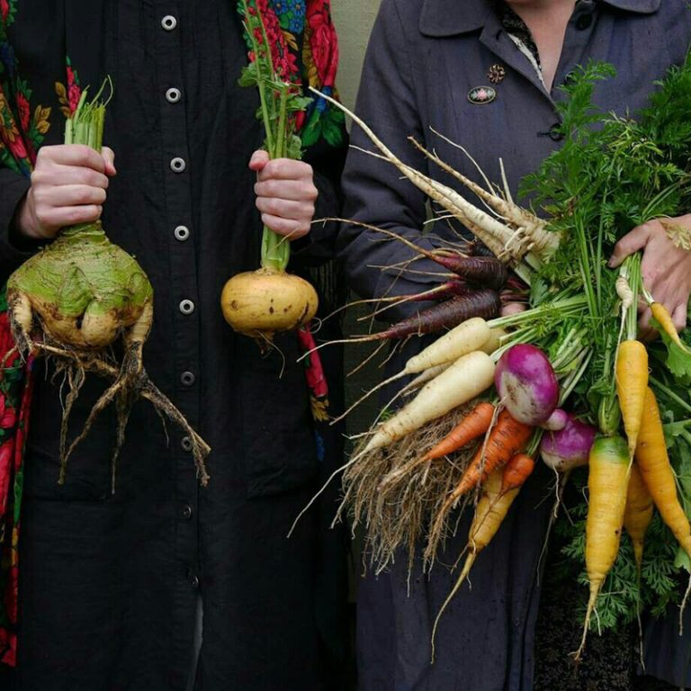 завантаження (54