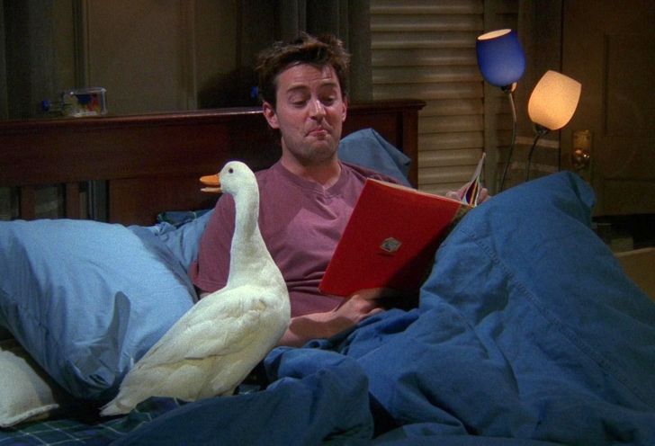 завантаження (5)